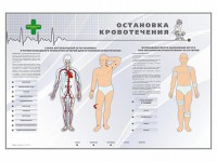 Электрифицированный стенд "Остановка кровотечения" - fgospostavki.ru - Смоленск
