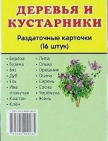 Раздаточные карточки "Деревья и кустарники" - fgospostavki.ru - Смоленск