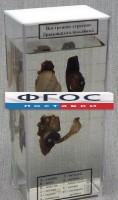 Влажный препарат "Внутреннее строение брюхоногого моллюска" - fgospostavki.ru - Смоленск