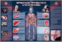 Электрифицированный стенд "Вредные привычки: алкоголизм" - fgospostavki.ru - Смоленск