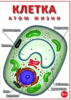 DVD "Клетка - "атом жизни" - fgospostavki.ru - Смоленск