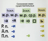 Набор магнитных карточек "Склонение имен существительных" - fgospostavki.ru - Смоленск