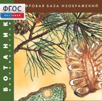Ботаника. Микрофотографии. (Цифровая база изображений) - fgospostavki.ru - Смоленск