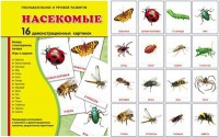 Демонстрационные карточки "Насекомые" - fgospostavki.ru - Смоленск