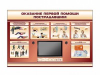 Многофункциональный интерактивный стенд-тренажер "Оказание первой помощи пострадавшим" для учащихся общеобразовательных учреждений - fgospostavki.ru - Смоленск