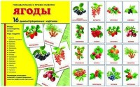 Демонстрационные карточки "Ягоды" - fgospostavki.ru - Смоленск