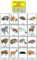 Раздаточные карточки "Дикие животные (1)" - fgospostavki.ru - Смоленск