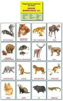 Раздаточные карточки "Дикие животные (2)" - fgospostavki.ru - Смоленск