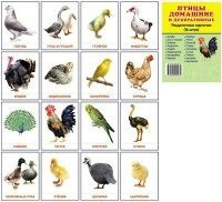 Раздаточные карточки "Птицы домашние и декоративные" - fgospostavki.ru - Смоленск