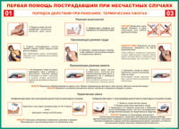 Таблица "Порядок действий при ранениях и термических ожогах" (100х140 сантиметров, винил) - fgospostavki.ru - Смоленск