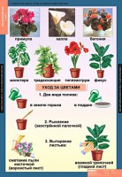 Комплект таблиц. Окружающий мир 1 класс. - fgospostavki.ru - Смоленск