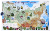 Магнитные карточки "Растения" - fgospostavki.ru - Смоленск