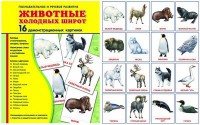Демонстрационные карточки "Животные холодных широт" - fgospostavki.ru - Смоленск