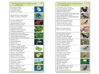 Комплект карточек (10) "Обучающий калейдоскоп. Природа" - fgospostavki.ru - Смоленск