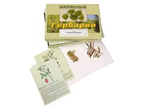 Гербарий "Для начальной школы" (30 видов, с иллюстрациями) - fgospostavki.ru - Смоленск
