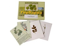 Гербарий "Деревья и кустарники" (22 вида, с иллюстрациями) - fgospostavki.ru - Смоленск