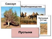 Модель-аппликация "Природные зоны России" (ламинированная) - fgospostavki.ru - Смоленск