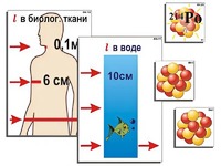 Модель-аппликация "Явление радиоактивности" (ламинированная) - fgospostavki.ru - Смоленск