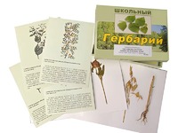 Гербарий "Систематика растений. Семейство Бобовые. Злаки" (раздаточный) - fgospostavki.ru - Смоленск
