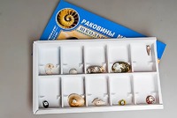 Коллекция "Раковины моллюсков" - fgospostavki.ru - Смоленск
