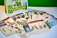 Гербарий к курсу основ общей биологии - fgospostavki.ru - Смоленск