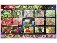 Комплект оборудования "Живой уголок" (растения) с тифлопереводом и сурдокомментариями - fgospostavki.ru - Смоленск