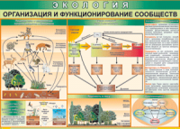 Таблица "Организация и функционирование сообществ" (100х140 сантиметров, винил) - fgospostavki.ru - Смоленск