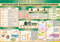 Таблица "Биотические взаимоотношения организмов" (100х140 сантиметров, винил) - fgospostavki.ru - Смоленск