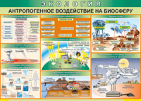 Таблица "Антропогенное воздействие на биосферу" (100х140 сантиметров, винил) - fgospostavki.ru - Смоленск