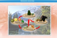 Интерактивные курсы. Биология 7 класс. Базовый. - fgospostavki.ru - Смоленск