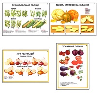 Плакаты ПРОФТЕХ "Ассортимент овощных культур" (12 пл, винил, 70х100) - fgospostavki.ru - Смоленск
