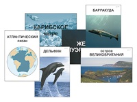 Модель-аппликация "Океаны. Знакомство" (ламинированная) - fgospostavki.ru - Смоленск