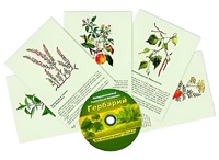 Интерактивный наглядный комплекс "Гербарий "Для начальной школы" - fgospostavki.ru - Смоленск