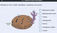 Интерактивные курсы. Биология 6 класс. Расширенный - fgospostavki.ru - Смоленск