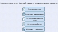 Интерактивные курсы. Русский язык 7 класс . Базовый. - fgospostavki.ru - Смоленск