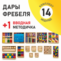 Игровой набор Дары Фребеля 14 модулей с методическим пособием (1 книга) - fgospostavki.ru - Смоленск