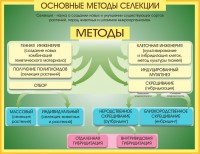 Стенд "Методы селекции и биотехнологии" - fgospostavki.ru - Смоленск