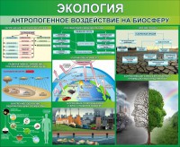 Стенд "Экология. Антропогенное воздействие на биосферу" - fgospostavki.ru - Смоленск