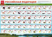 Стенд "Красная книга РФ" - fgospostavki.ru - Смоленск