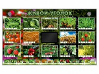 Комплект оборудования "Живой уголок" (растения) - fgospostavki.ru - Смоленск