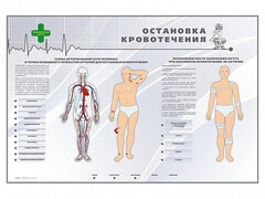 Электрифицированный стенд "Остановка кровотечения" - fgospostavki.ru - Смоленск