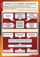 Комплект таблиц. ОБЖ. Здоровый образ жизни. - fgospostavki.ru - Смоленск