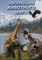 DVD "Эволюция животного мира" - fgospostavki.ru - Смоленск
