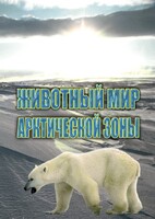 DVD "Животный мир Арктической зоны" - fgospostavki.ru - Смоленск