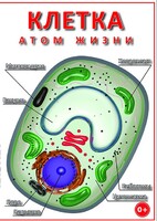 DVD "Клетка - "атом жизни" - fgospostavki.ru - Смоленск