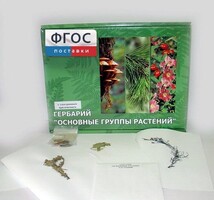 Гербарий "Основные группы растений" (52 листа) - fgospostavki.ru - Смоленск