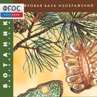 Ботаника. Микрофотографии. (Цифровая база изображений) - fgospostavki.ru - Смоленск
