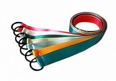 Лента гимнастическая на кольце (1 метр) - fgospostavki.ru - Смоленск
