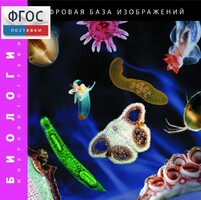 Биология. Микрофотографии. (Цифровая база изображений) - fgospostavki.ru - Смоленск