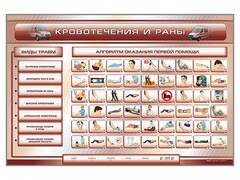 Трехсекционный базовый комплект "Травмы. Кровотечения. Ожоги" для учащихся общеобразовательных учреждений - fgospostavki.ru - Смоленск
